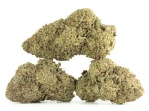 Exodus Cheese (Smalls)