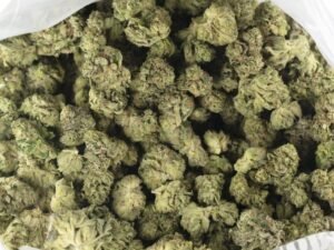 Grease Monkey (Popcorn)