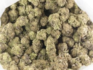 Miracle Alien Cookies #10 (Popcorn)