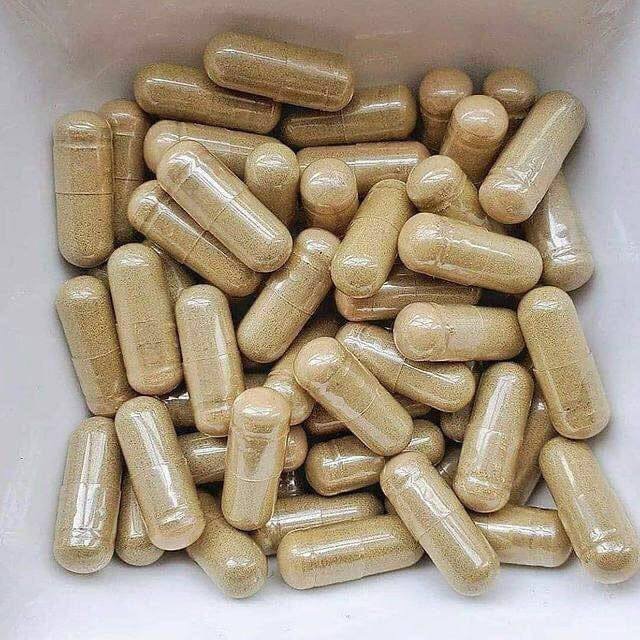 Mushroom Capsules - Image 3